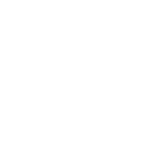 Иконка Instagram*